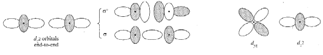 Hybridization & Shapes Of Molecules | Inorganic Chemistry