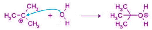 Sn1, Sn2, E1, E2 reactions | Organic Chemistry