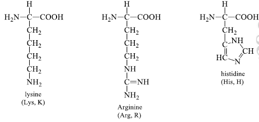 Amino Acids: Properties, Structure & Classification | Organic Chemistry