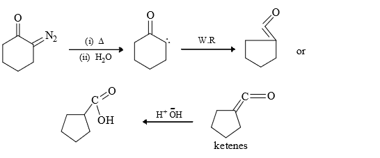 Nitrenes and Carbenes: Stability & Reactions | Organic Chemistry