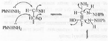 Points to Remember: Biomolecules | Organic Chemistry