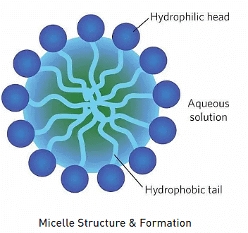 Micelle: Formation, Structure, Soap Action & Sample Questions | Physical Chemistry