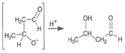 Organic Reactions with Mechanism (Part-1) | Organic Chemistry