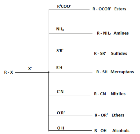 Nucleophilic Substitution Reactions: Sn1 & Sn2 | Organic Chemistry