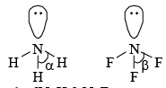 (VSEPR) Theory & Shapes of Molecules | Inorganic Chemistry
