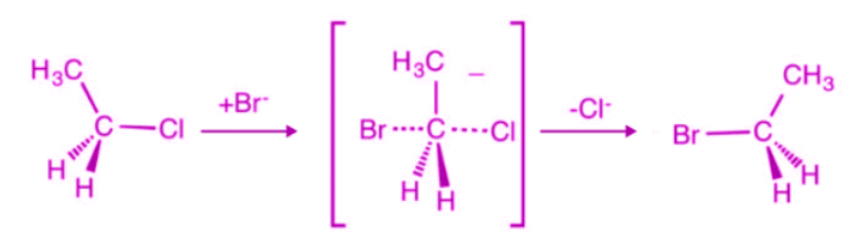Sn1, Sn2, E1, E2 reactions | Organic Chemistry