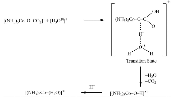 Reaction Mechanism of Coordination Complexes | Inorganic Chemistry