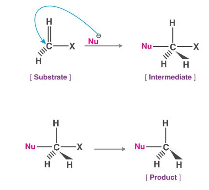 Nucleophilic Substitution Reactions: Sn1 & Sn2 | Organic Chemistry