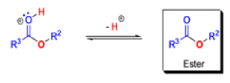 Organic Reactions with Mechanism (Part -2) | Organic Chemistry