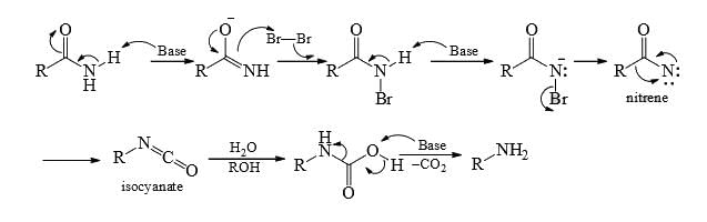 Nitrenes and Carbenes: Stability & Reactions | Organic Chemistry