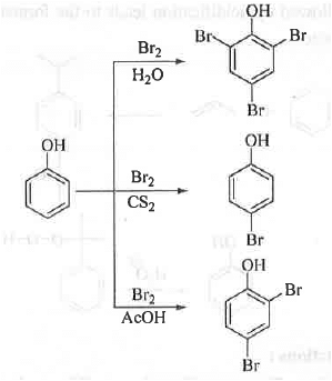 Points to Remember: Aromatic Compounds | Organic Chemistry