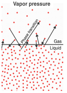 Vapour Pressure & Raoult`s law | Physical Chemistry