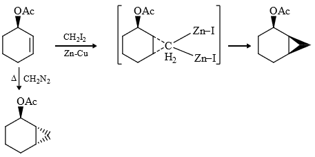 Nitrenes and Carbenes: Stability & Reactions | Organic Chemistry