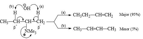 Elimination Reactions and Molecular Rearrangement -Reaction Mechanism Chemistry | Organic Chemistry
