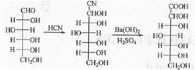 Points to Remember: Biomolecules | Organic Chemistry
