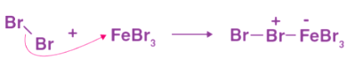 Benzene Electrophilic Substitution: Sulfonation, Nitration & Halogenation | Organic Chemistry