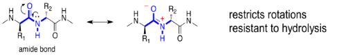 Amino Acids: Properties, Structure & Classification | Organic Chemistry
