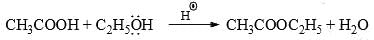 Reaction Mechanism Chemistry | Organic Chemistry