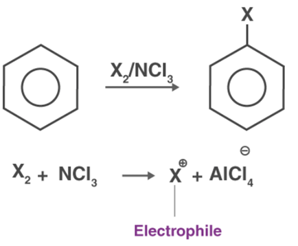 Nucleophilic Substitution Reactions: Sn1 & Sn2 | Organic Chemistry