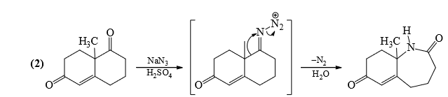 Nitrenes and Carbenes: Stability & Reactions | Organic Chemistry