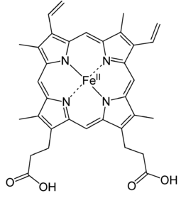 Structure & Functions of Haemoglobin, Myoglobin & Carbonic Anhydrase | Inorganic Chemistry