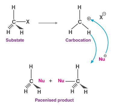 Nucleophilic Substitution Reactions: Sn1 & Sn2 | Organic Chemistry