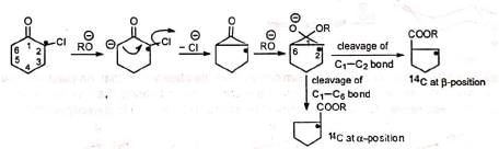 Favorskii Rearrangement - Chemistry