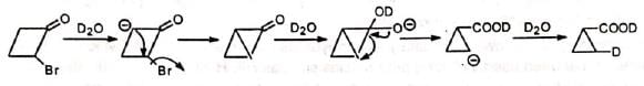 Favorskii Rearrangement - Chemistry