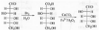 Points to Remember: Biomolecules | Organic Chemistry