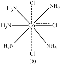 Werner’s Theory & 18 Electron Rule | Inorganic Chemistry