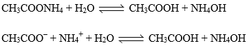 PH, Buffer Solutions, Solubility & Solubility Product | Physical Chemistry