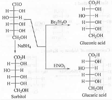 Points to Remember: Biomolecules | Organic Chemistry