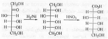 Points to Remember: Biomolecules | Organic Chemistry