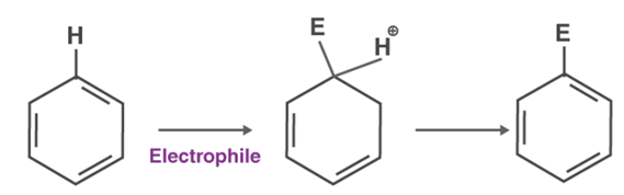 Nucleophilic Substitution Reactions: Sn1 & Sn2 | Organic Chemistry
