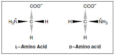 Amino Acids: Properties, Structure & Classification | Organic Chemistry