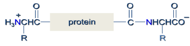Amino Acids: Properties, Structure & Classification | Organic Chemistry