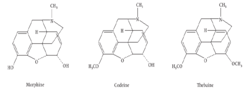 Alkaloids-Bio-Molecules | Organic Chemistry