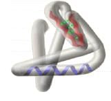 Proteins - Biomolecules | Organic Chemistry