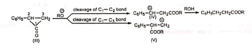 Favorskii Rearrangement - Chemistry