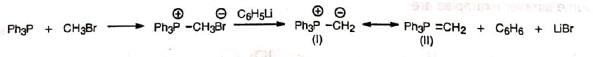 Organic Reactions With Mechanism and Applications (Part -1) | Organic Chemistry