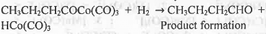 Points to Remember: Organometallic Chemistry & Bioinorganic Chemistry | Inorganic Chemistry