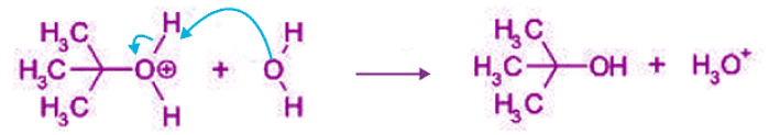 Sn1, Sn2, E1, E2 reactions | Organic Chemistry