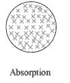 Adsorption, Types of Adsorption & Adsorption Isotherms | Physical Chemistry