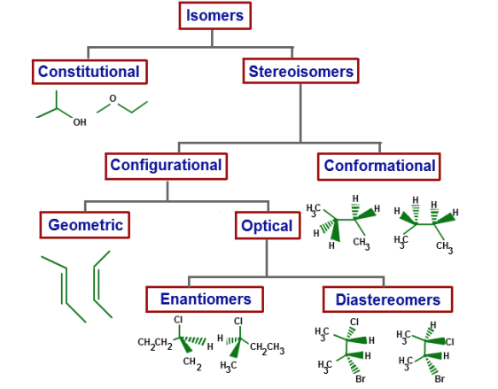 Isomers & Optical Isomerism in Compounds having Stereocenters | Organic Chemistry