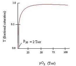 Myoglobin Binding Curve