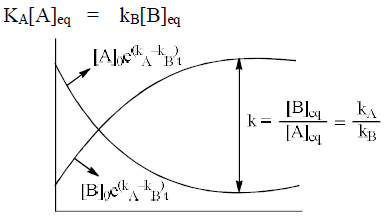 Reversible Reactions & Equilibrium | Physical Chemistry