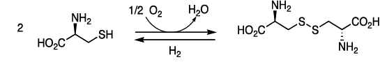 Amino Acids: Properties, Structure & Classification | Organic Chemistry