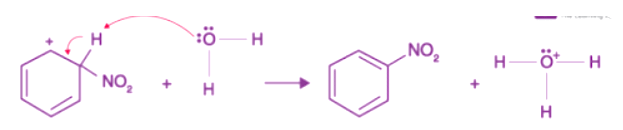 Benzene Electrophilic Substitution: Sulfonation, Nitration & Halogenation | Organic Chemistry