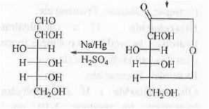 Points to Remember: Biomolecules | Organic Chemistry