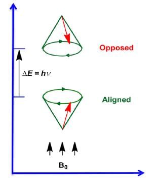 Nuclear Magnetic Resonance (NMR) Spectroscopy | Organic Chemistry